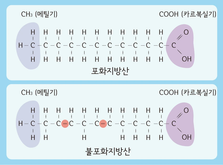 %EA%B7%B8%EB%A6%BC3_%ED%8F%AC%ED%99%94%EC%A7%80%EB%B0%A9%EC%82%B0_%EB%B6%88%ED%8F%AC%ED%99%94%EC%A7%80%EB%B0%A9%EC%82%B0.jpg?type=w1