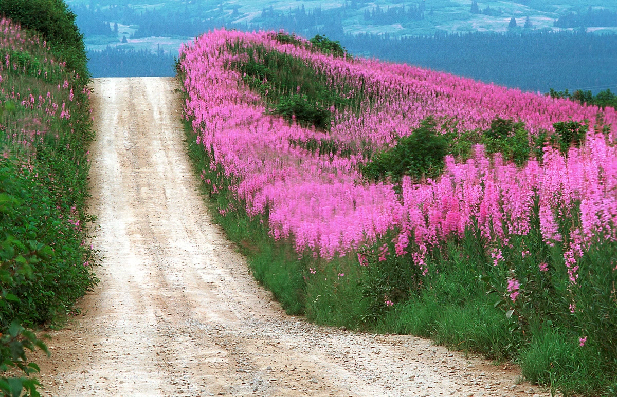 711cc98ee835fa5765b521531208ef9ad6b1d9d2