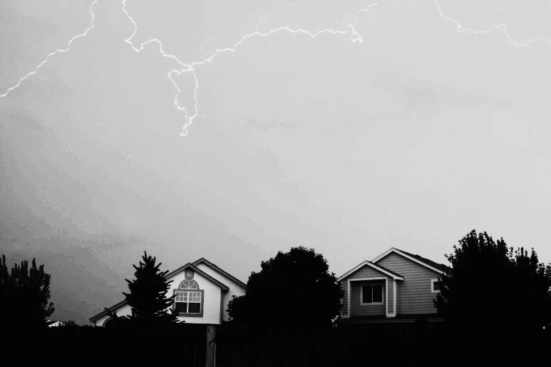 IMG_3301.JPG?type=w773