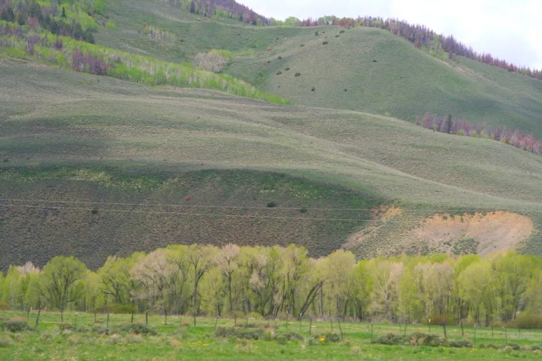 SE-483ad798-b8a3-4143-97ec-20d111645172.jpg?type=w773