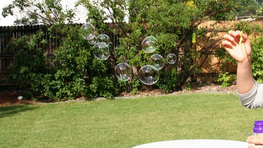 SE-EF1A1DC5-9A4E-4DDD-8F3D-DD70DEAB3970.jpg?type=w1