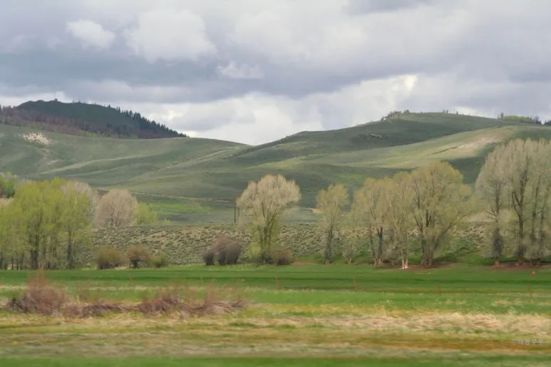 SE-7b8872dd-4ed1-40e4-b8b8-1bda309ae036.jpg?type=w773