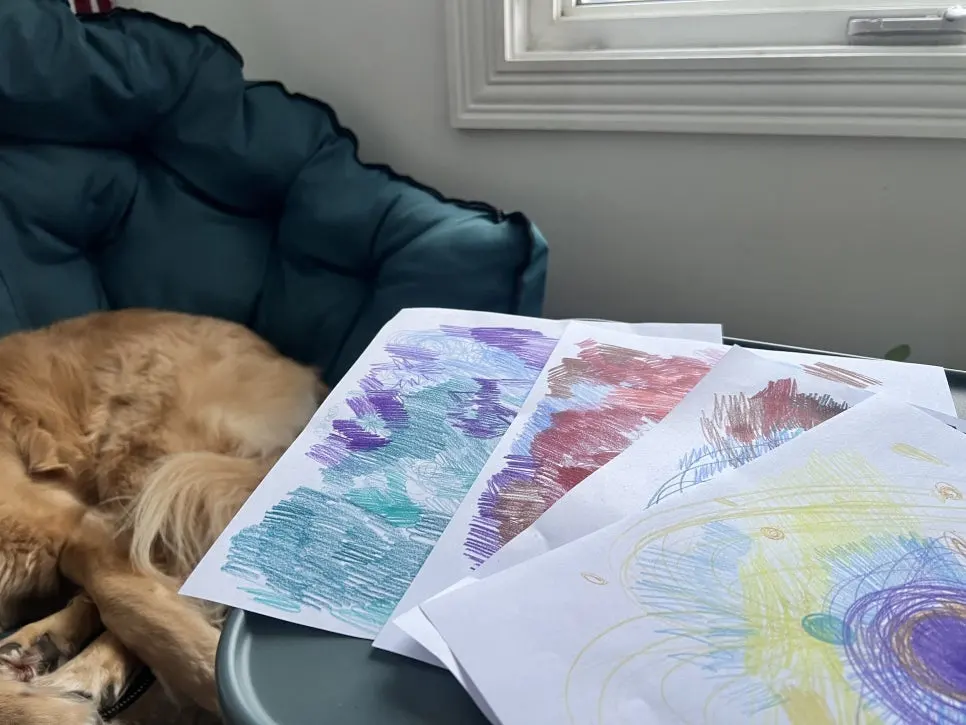 IMG_5120.jpg?type=w966