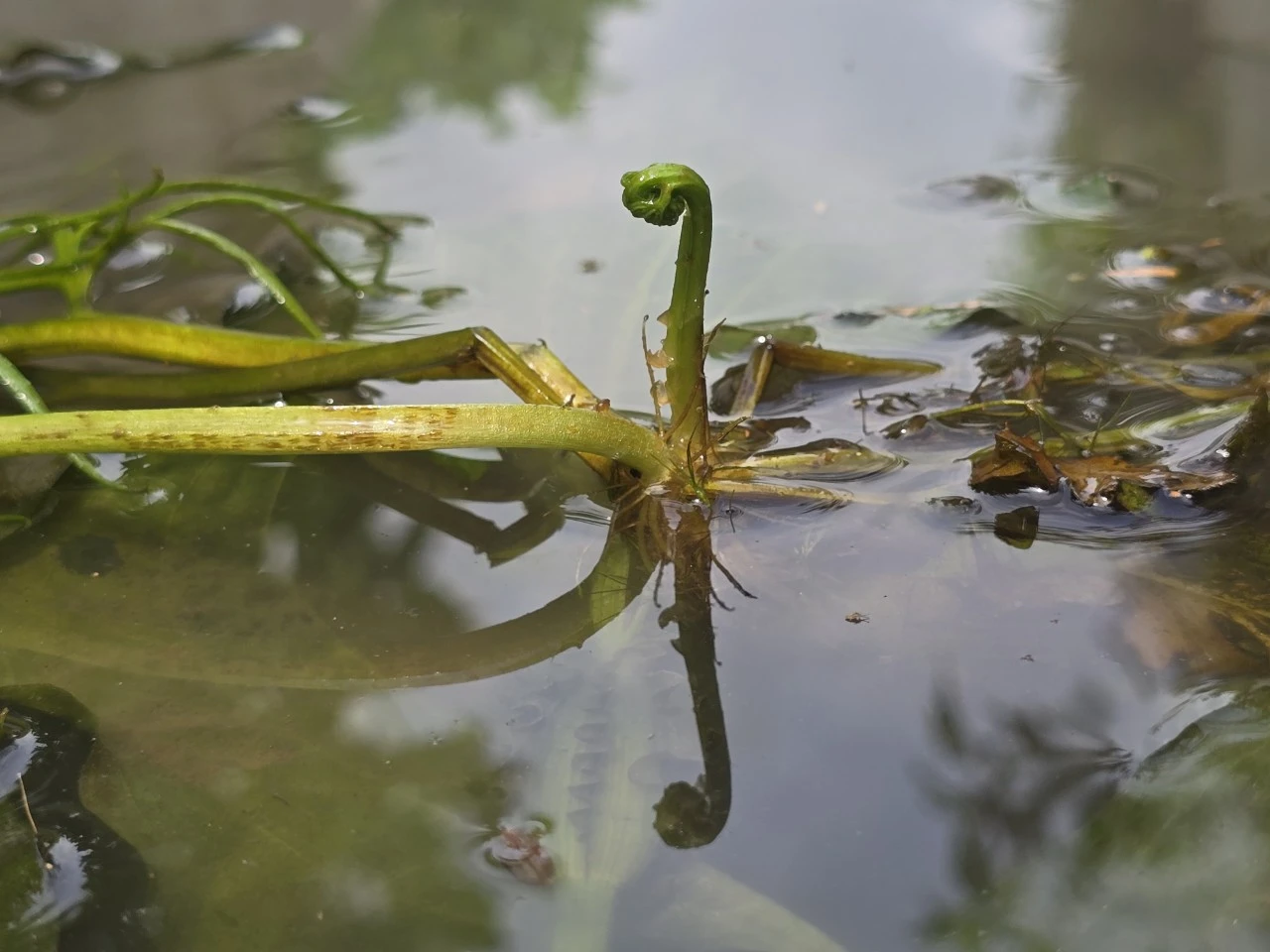 img.jpg?credential=yqXZFxpELC7KVnFOS48ylbz2pIh7yKj8&expires=1764514799&allow_ip=&allow_referer=&signature=rZGGeNKZALuaR8NzdHFThvoETFY%3D