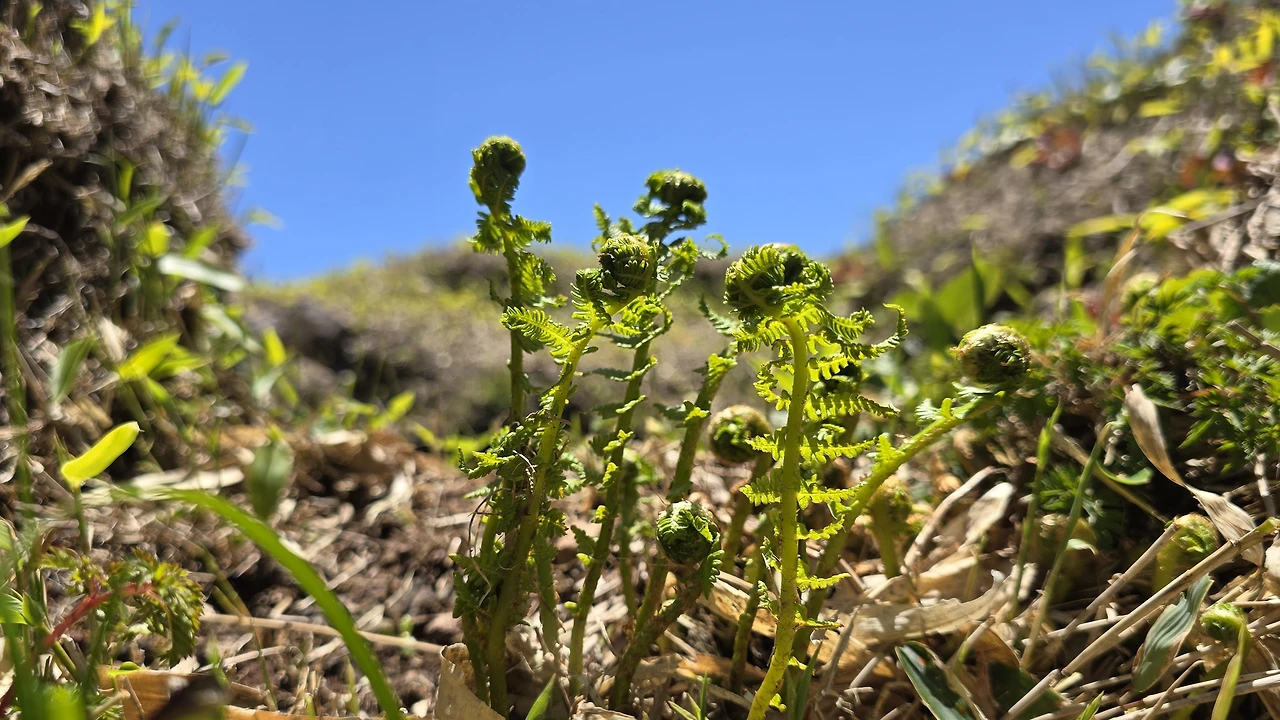 img.jpg?credential=yqXZFxpELC7KVnFOS48ylbz2pIh7yKj8&expires=1764514799&allow_ip=&allow_referer=&signature=NQlMBjVNYmauJi6ocsnpiZUQfZE%3D