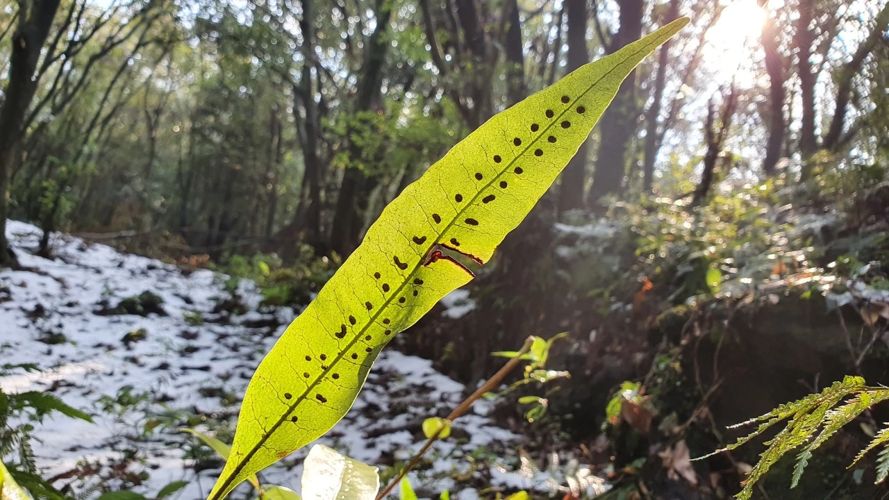 img.jpg?credential=yqXZFxpELC7KVnFOS48ylbz2pIh7yKj8&expires=1769871599&allow_ip=&allow_referer=&signature=vsDYre9nVdIM%2B2BTg%2BeWCWVLwfo%3D