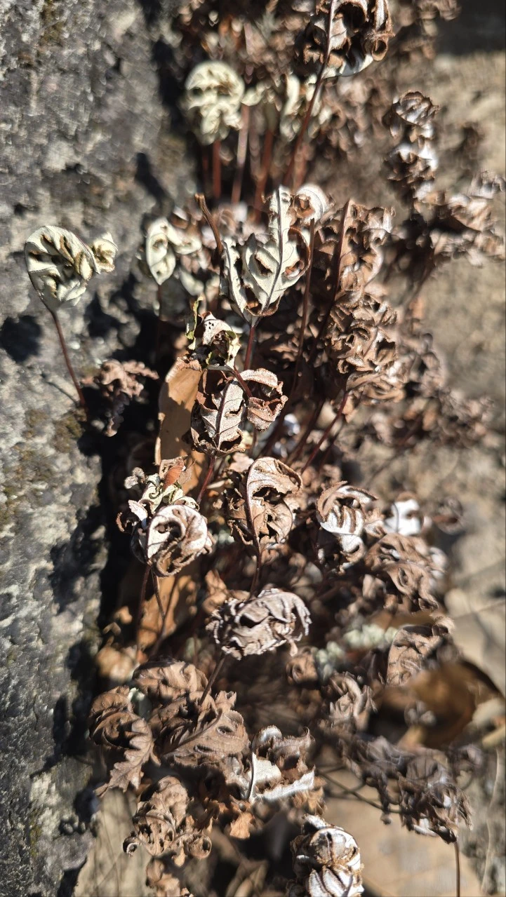 tfile.jpg?credential=yqXZFxpELC7KVnFOS48ylbz2pIh7yKj8&expires=1759244399&allow_ip=&allow_referer=&signature=46DlpMGRrYzfPZgubmZek5OHnxE%3D