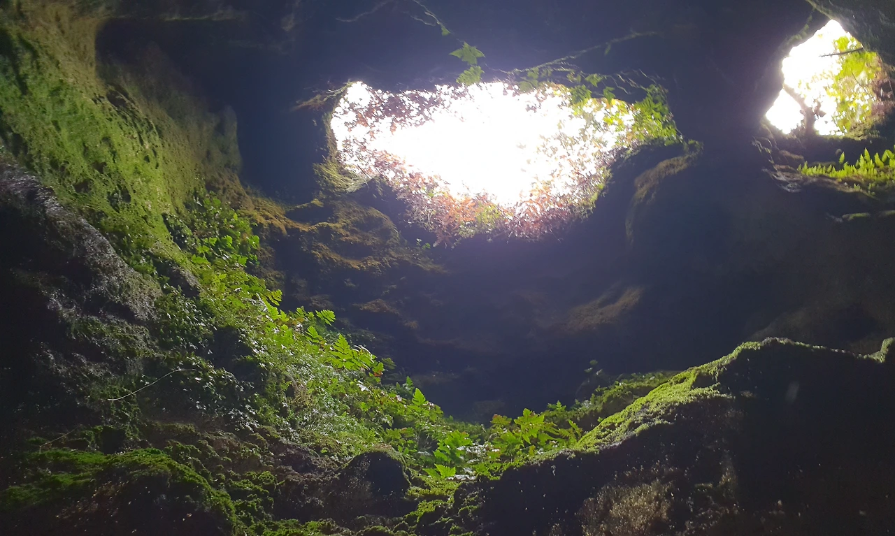 img.png?credential=yqXZFxpELC7KVnFOS48ylbz2pIh7yKj8&expires=1750737599&allow_ip=&allow_referer=&signature=tTjhxw9YUZvjp%2BeKnzsmKvhu0Eo%3D