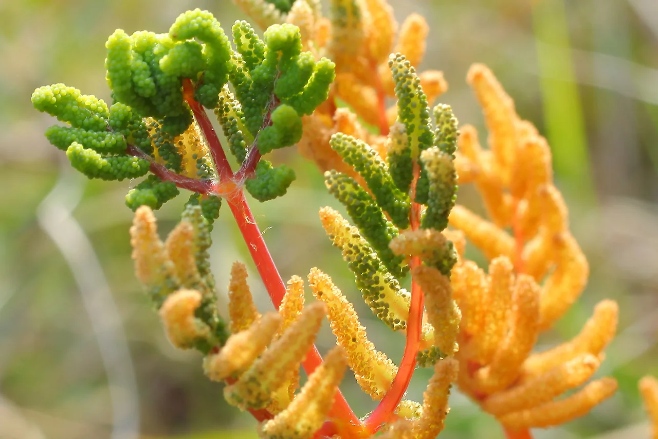 img.jpg?credential=yqXZFxpELC7KVnFOS48ylbz2pIh7yKj8&expires=1753973999&allow_ip=&allow_referer=&signature=3JstIRlzLw563l8v0%2FdA1fOyMvM%3D