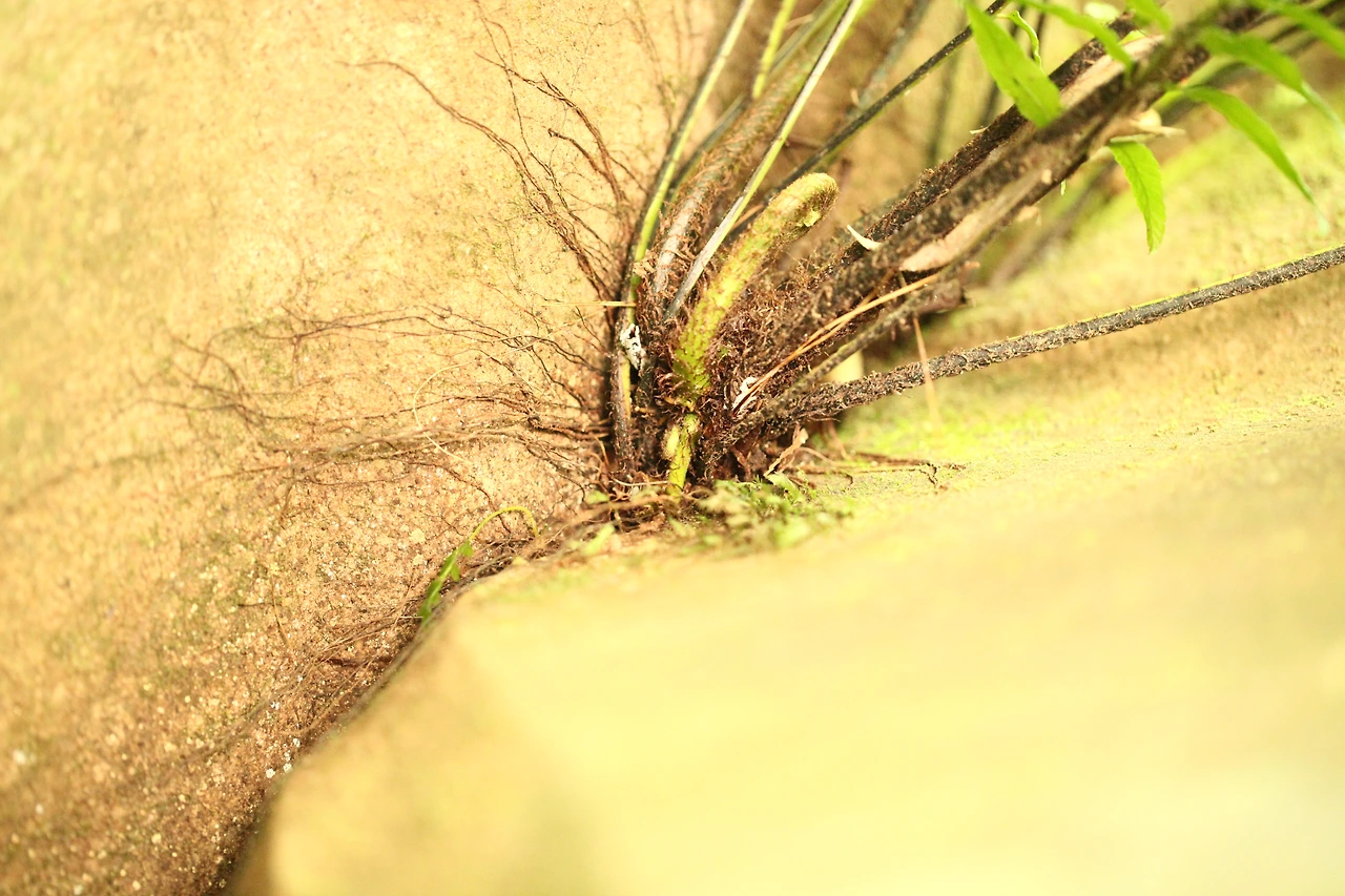 img.jpg?credential=yqXZFxpELC7KVnFOS48ylbz2pIh7yKj8&expires=1756652399&allow_ip=&allow_referer=&signature=ZDd7BZqpheKRE%2BpIRqhIHfkQSBI%3D