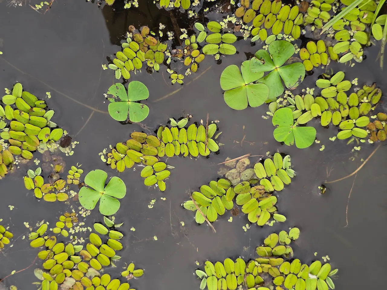 img.jpg?credential=yqXZFxpELC7KVnFOS48ylbz2pIh7yKj8&expires=1764514799&allow_ip=&allow_referer=&signature=Rq8UgmR2c6eXZuaWGWNY5SRe6BI%3D