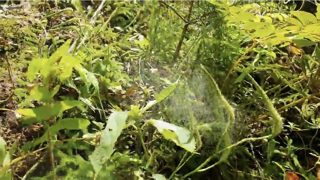 tfile.jpg?credential=yqXZFxpELC7KVnFOS48ylbz2pIh7yKj8&expires=1759244399&allow_ip=&allow_referer=&signature=hB4XOIngRYxHHjsYNSj0kb1Gm40%3D