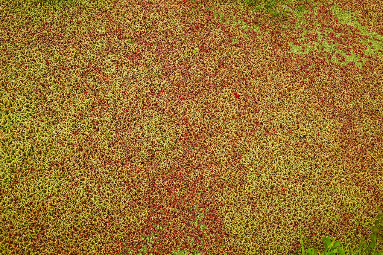 img.jpg?credential=yqXZFxpELC7KVnFOS48ylbz2pIh7yKj8&expires=1764514799&allow_ip=&allow_referer=&signature=yvJ7JWOrIvOaJlukTTi9Nih%2FaFY%3D