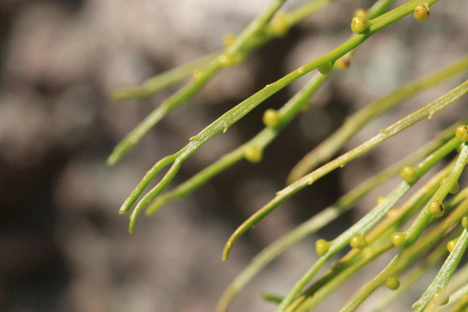 img.jpg?credential=yqXZFxpELC7KVnFOS48ylbz2pIh7yKj8&expires=1753973999&allow_ip=&allow_referer=&signature=pFOEDY18019Kb4NORhZT%2F9MMUcU%3D