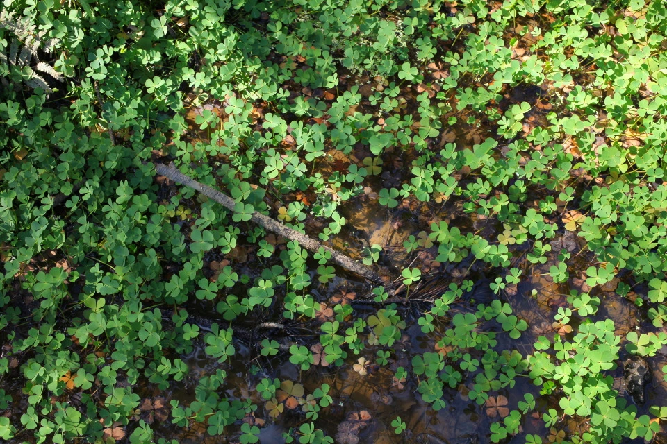 img.jpg?credential=yqXZFxpELC7KVnFOS48ylbz2pIh7yKj8&expires=1750737599&allow_ip=&allow_referer=&signature=LrcApfpM6cavFmrYf%2BAB0lAgTKQ%3D