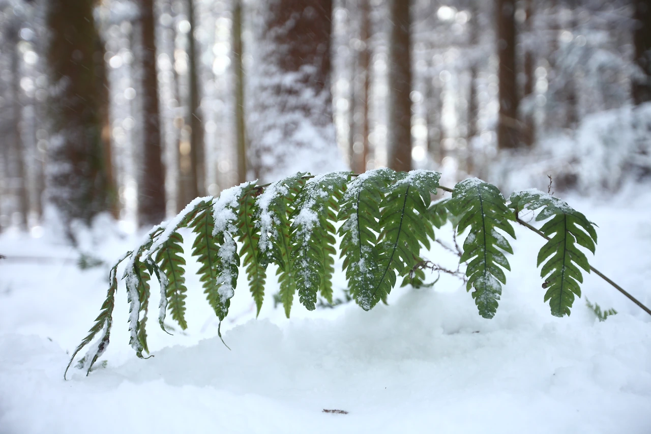 tfile.JPG?credential=yqXZFxpELC7KVnFOS48ylbz2pIh7yKj8&expires=1767193199&allow_ip=&allow_referer=&signature=tgZZOpEvnubEkQrWjhARMqVSFJ4%3D