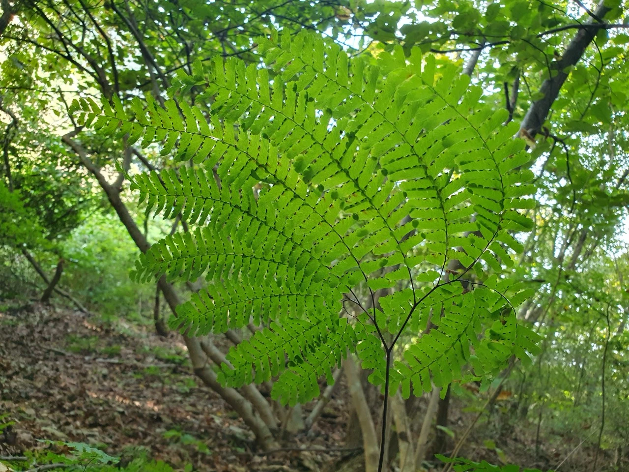 img.jpg?credential=yqXZFxpELC7KVnFOS48ylbz2pIh7yKj8&expires=1767193199&allow_ip=&allow_referer=&signature=C1JieSTU1AqqctUv91zVYcIOkyY%3D