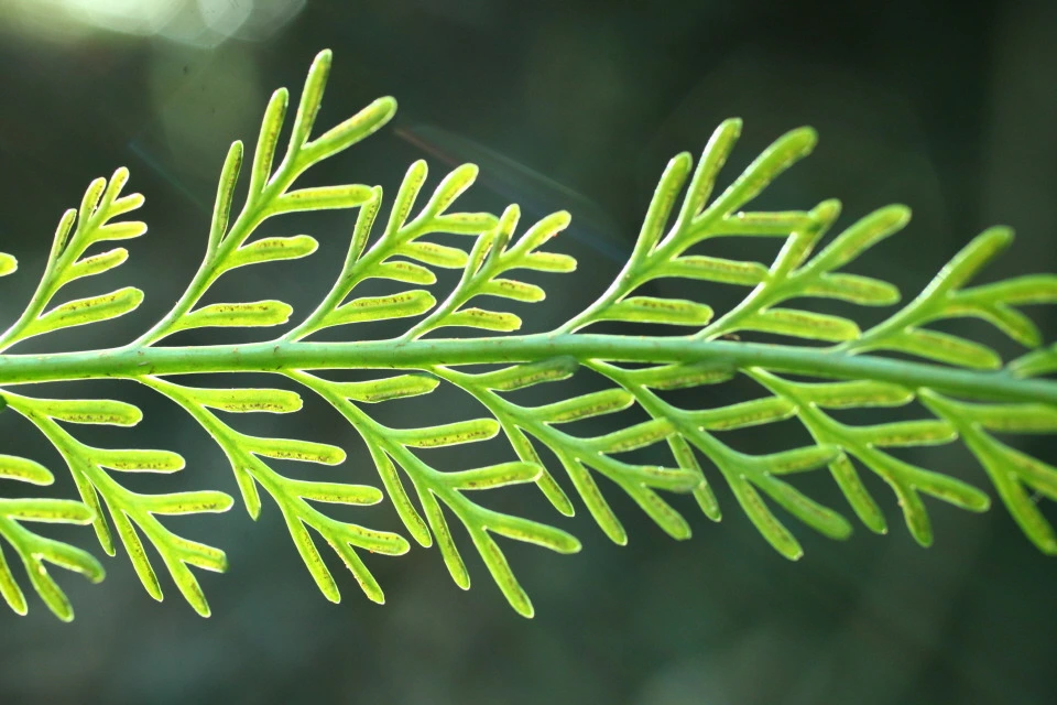 img.jpg?credential=yqXZFxpELC7KVnFOS48ylbz2pIh7yKj8&expires=1756652399&allow_ip=&allow_referer=&signature=4kZYKn%2FASbKlWa%2FbSLHpL14mDb4%3D