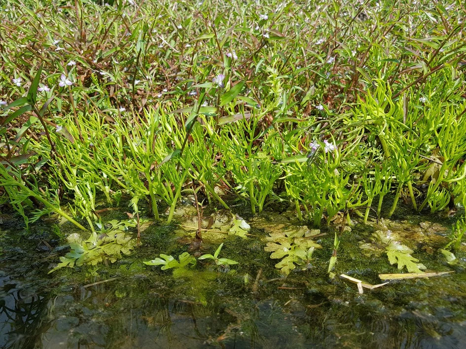 img.jpg?credential=yqXZFxpELC7KVnFOS48ylbz2pIh7yKj8&expires=1764514799&allow_ip=&allow_referer=&signature=GX2PWc6eJJSwpUf3BTJTB%2BgNtLE%3D