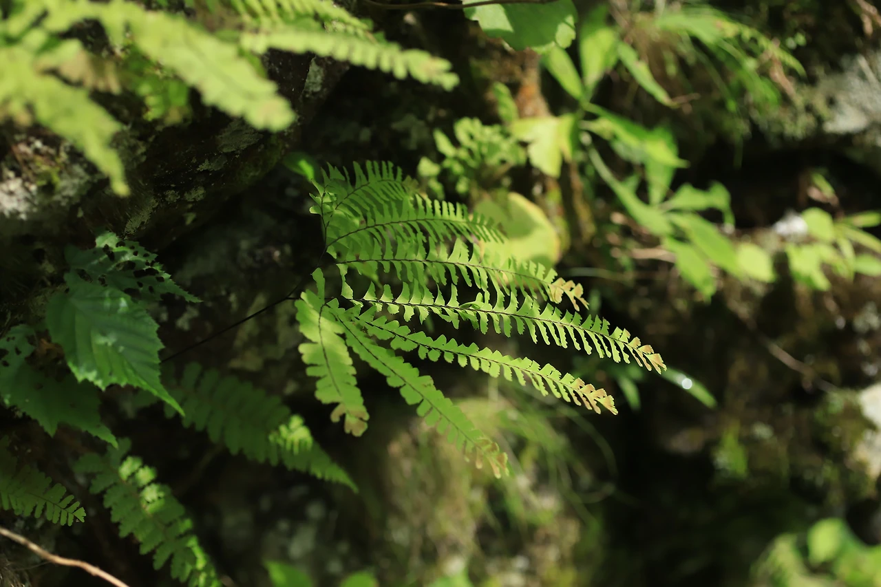 img.jpg?credential=yqXZFxpELC7KVnFOS48ylbz2pIh7yKj8&expires=1767193199&allow_ip=&allow_referer=&signature=9f2lb%2BNgSpPwxMYCT09YtDoyu94%3D