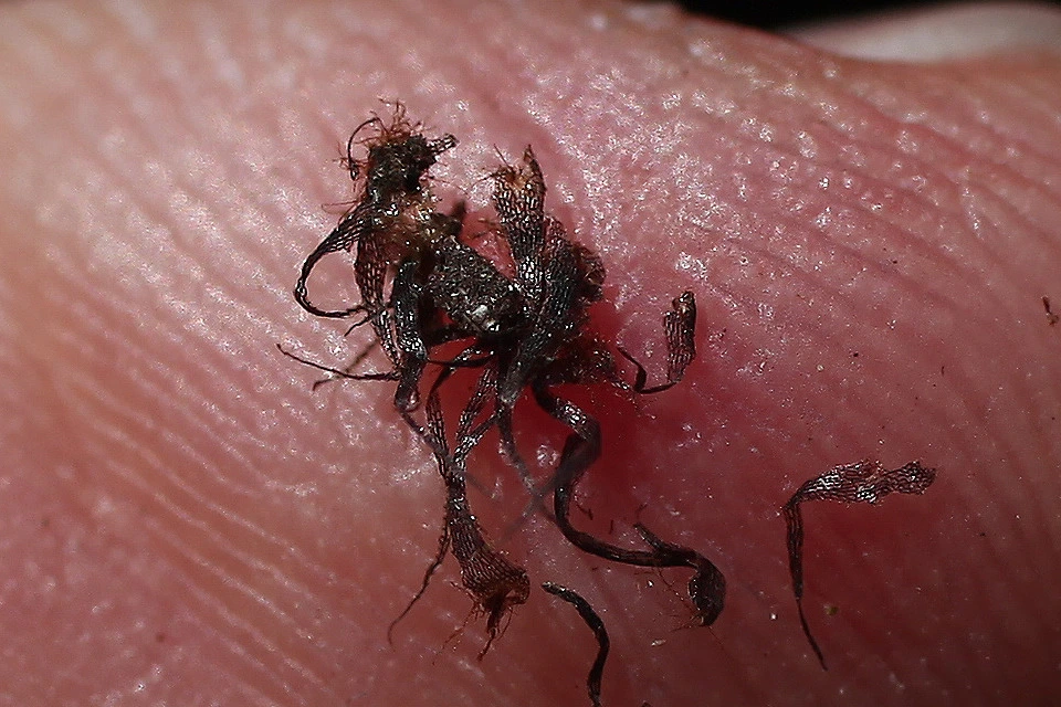 img.jpg?credential=yqXZFxpELC7KVnFOS48ylbz2pIh7yKj8&expires=1769871599&allow_ip=&allow_referer=&signature=8r83bnQC8ZLO9QqcAjfnWb9eR88%3D