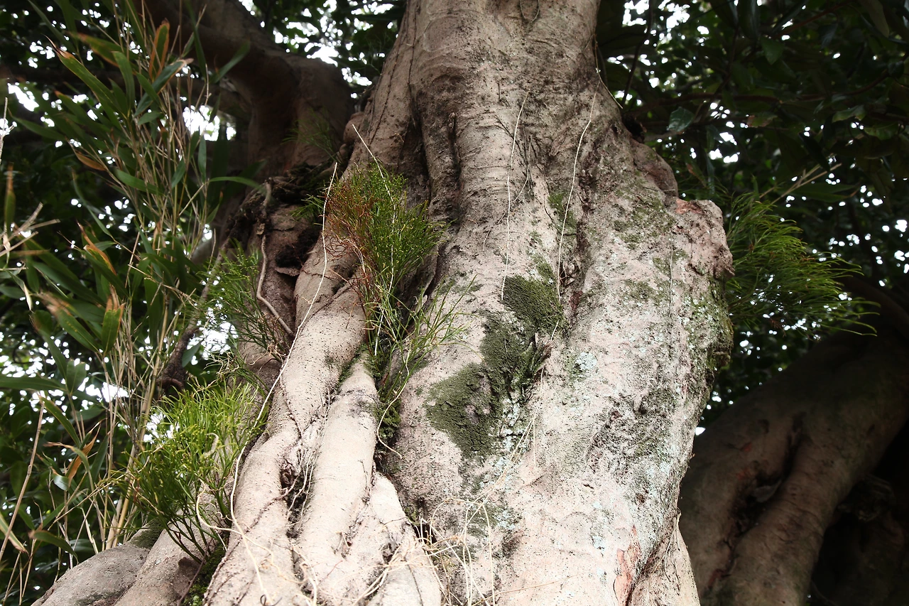 img.jpg?credential=yqXZFxpELC7KVnFOS48ylbz2pIh7yKj8&expires=1753973999&allow_ip=&allow_referer=&signature=XB6Gg3rCzBXiNBlVyDR0fcNUeio%3D