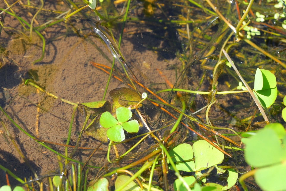 img.jpg?credential=yqXZFxpELC7KVnFOS48ylbz2pIh7yKj8&expires=1750737599&allow_ip=&allow_referer=&signature=cLZ9zE7LD03COUsf6N2UFQJsrDk%3D