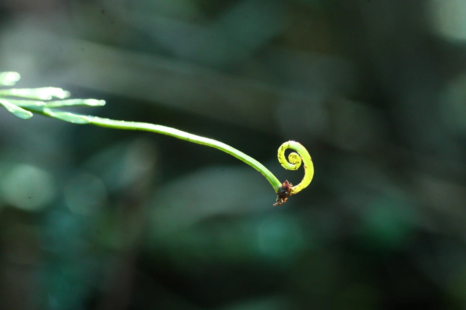 img.jpg?credential=yqXZFxpELC7KVnFOS48ylbz2pIh7yKj8&expires=1756652399&allow_ip=&allow_referer=&signature=WfRAZ3mVrWCLsgOC61%2F7SIFwRAs%3D