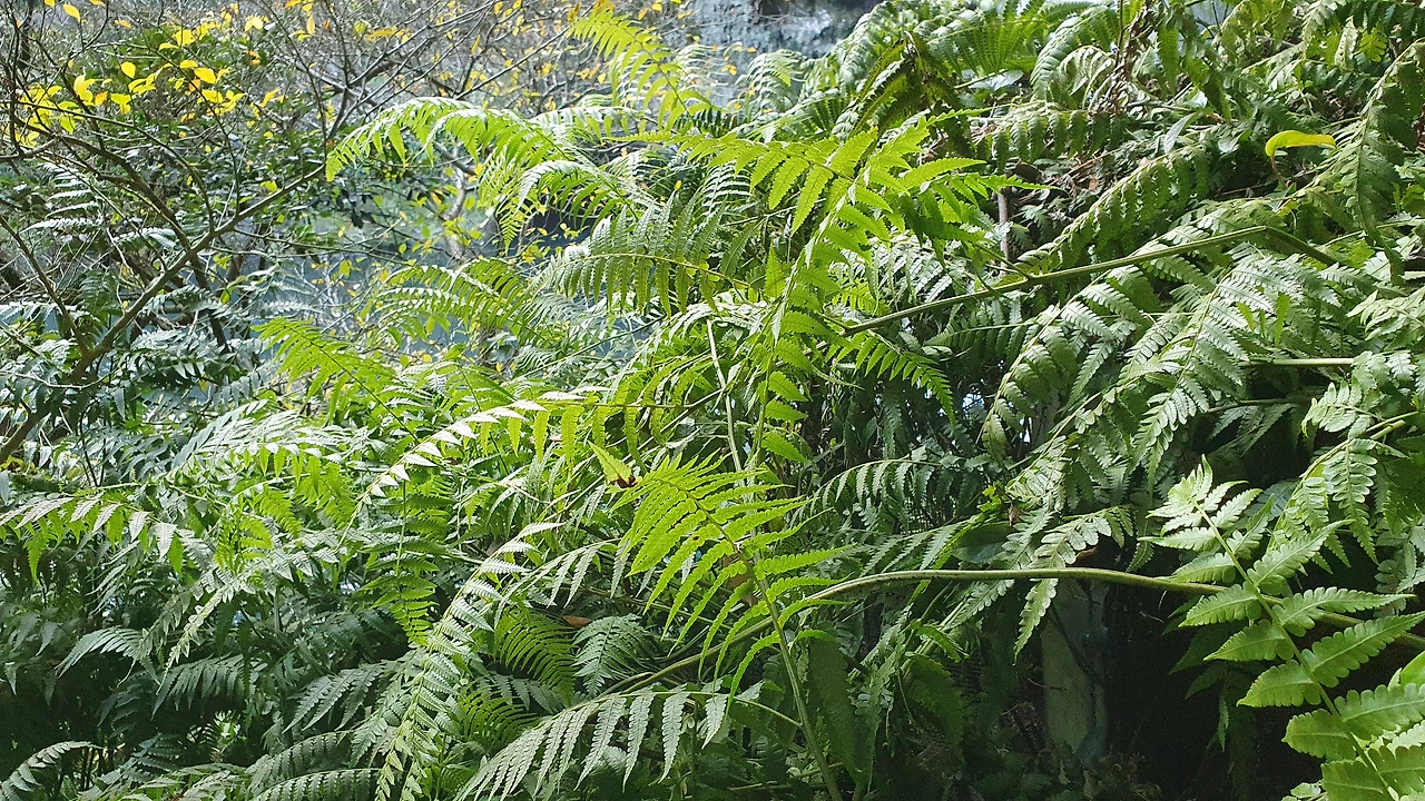 img.jpg?credential=yqXZFxpELC7KVnFOS48ylbz2pIh7yKj8&expires=1767193199&allow_ip=&allow_referer=&signature=te6VNEqoIoaRKiFjE1wc9VIO4iY%3D