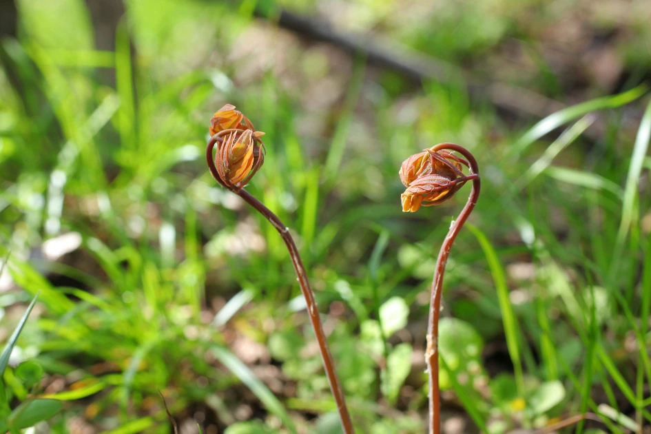 img.jpg?credential=yqXZFxpELC7KVnFOS48ylbz2pIh7yKj8&expires=1753973999&allow_ip=&allow_referer=&signature=0WXNgM652XJgTjnPYrOdWHhLTmw%3D