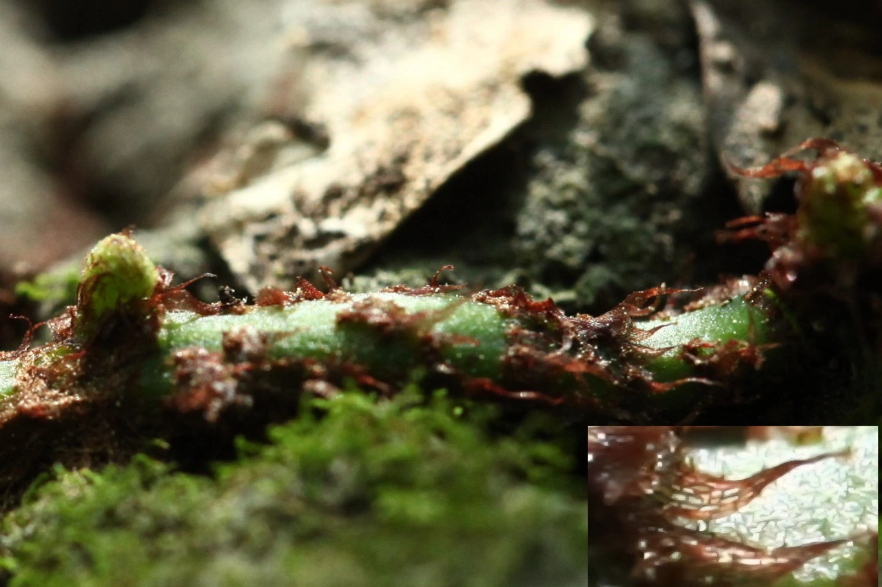 tfile.jpg?credential=yqXZFxpELC7KVnFOS48ylbz2pIh7yKj8&expires=1769871599&allow_ip=&allow_referer=&signature=7vUd0nQFvB%2Bcoo8czqpstmbqXP8%3D