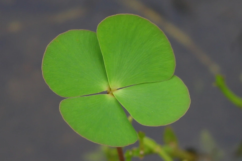 img.jpg?credential=yqXZFxpELC7KVnFOS48ylbz2pIh7yKj8&expires=1750737599&allow_ip=&allow_referer=&signature=szHui5JbSKwN5IC%2FmKT8tzeC050%3D