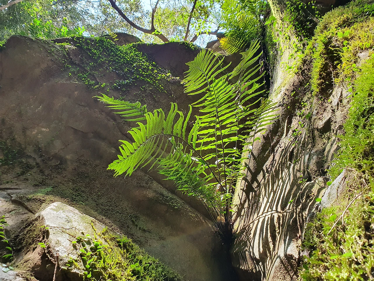 img.jpg?credential=yqXZFxpELC7KVnFOS48ylbz2pIh7yKj8&expires=1756652399&allow_ip=&allow_referer=&signature=eIsbdUztF43SIs0a4GXR3FLftmU%3D