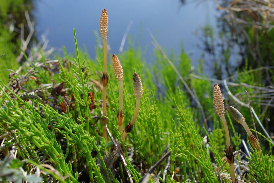 img.jpg?credential=yqXZFxpELC7KVnFOS48ylbz2pIh7yKj8&expires=1761922799&allow_ip=&allow_referer=&signature=NRPcRVDPfLjpxx0ln9AXqH3SEdA%3D