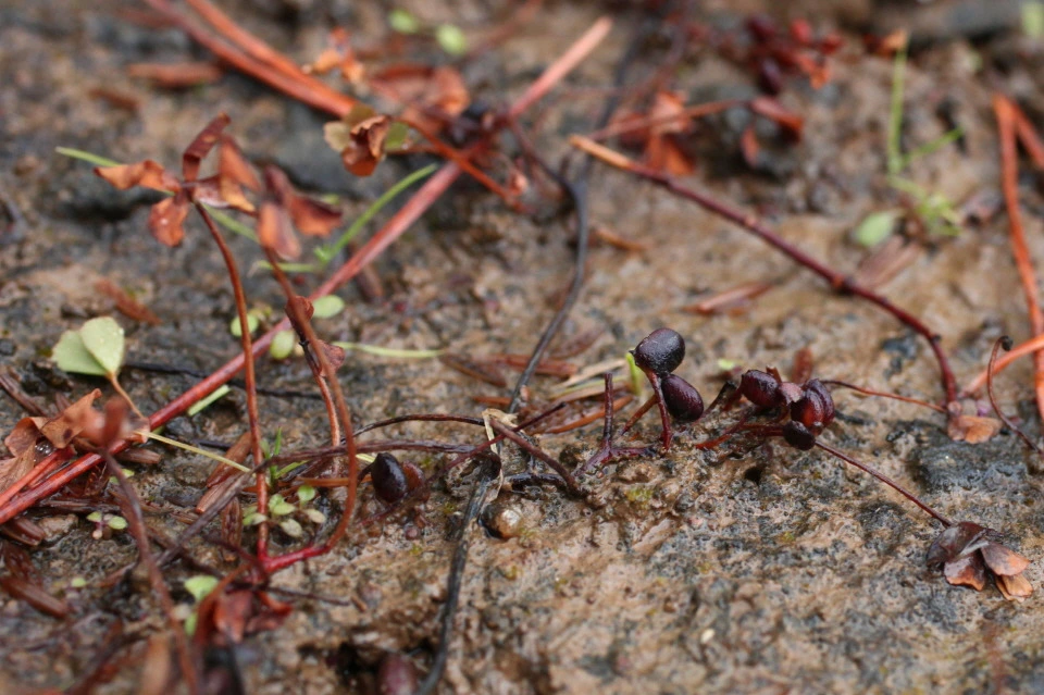 img.jpg?credential=yqXZFxpELC7KVnFOS48ylbz2pIh7yKj8&expires=1750737599&allow_ip=&allow_referer=&signature=bEHa%2FYlgScm06UIHze%2BaiuDxRG0%3D