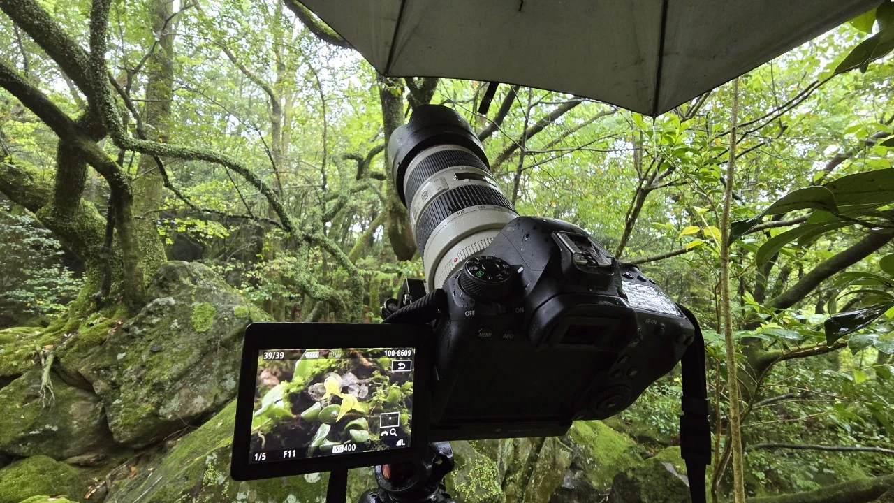 tfile.jpg?credential=yqXZFxpELC7KVnFOS48ylbz2pIh7yKj8&expires=1759244399&allow_ip=&allow_referer=&signature=bbjOVE9D71GbDSPM6iWD39n4M4s%3D