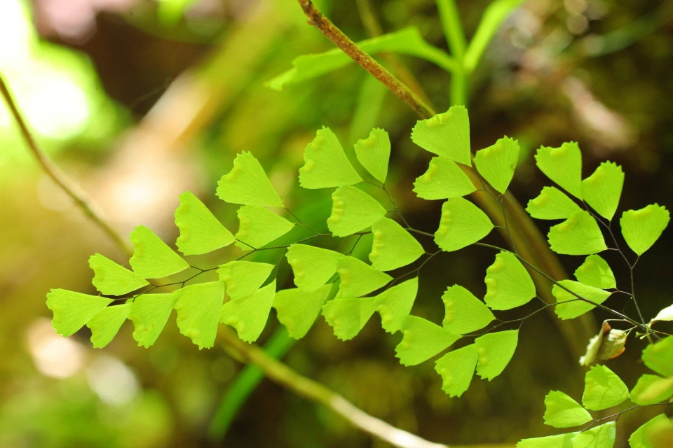 img.jpg?credential=yqXZFxpELC7KVnFOS48ylbz2pIh7yKj8&expires=1767193199&allow_ip=&allow_referer=&signature=mpofN5hj0g%2F9ZnmvSKc%2Ft32UZcQ%3D