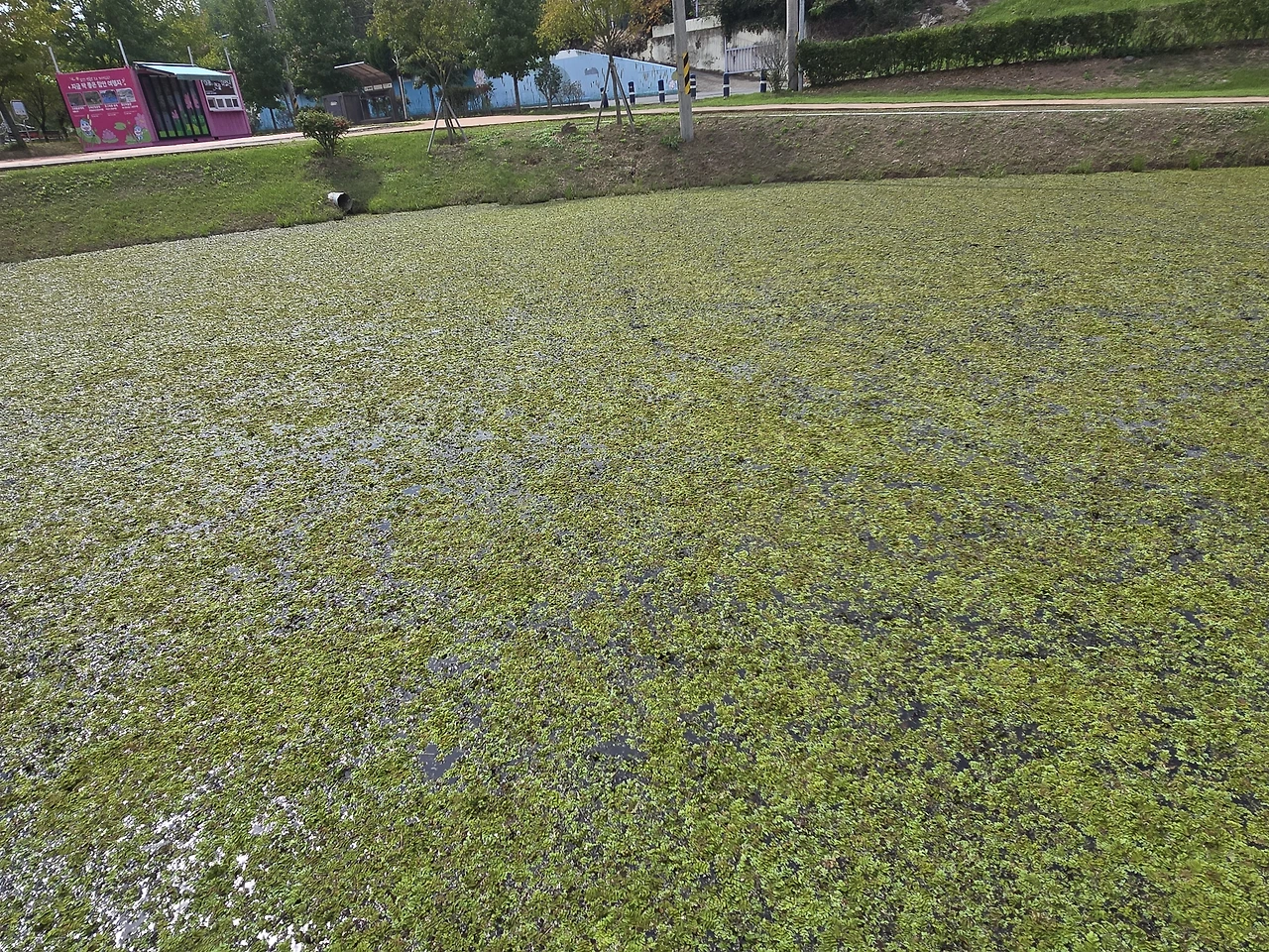 img.jpg?credential=yqXZFxpELC7KVnFOS48ylbz2pIh7yKj8&expires=1764514799&allow_ip=&allow_referer=&signature=CMzmtk2oN0M6TIiKRkFnP7dTODE%3D