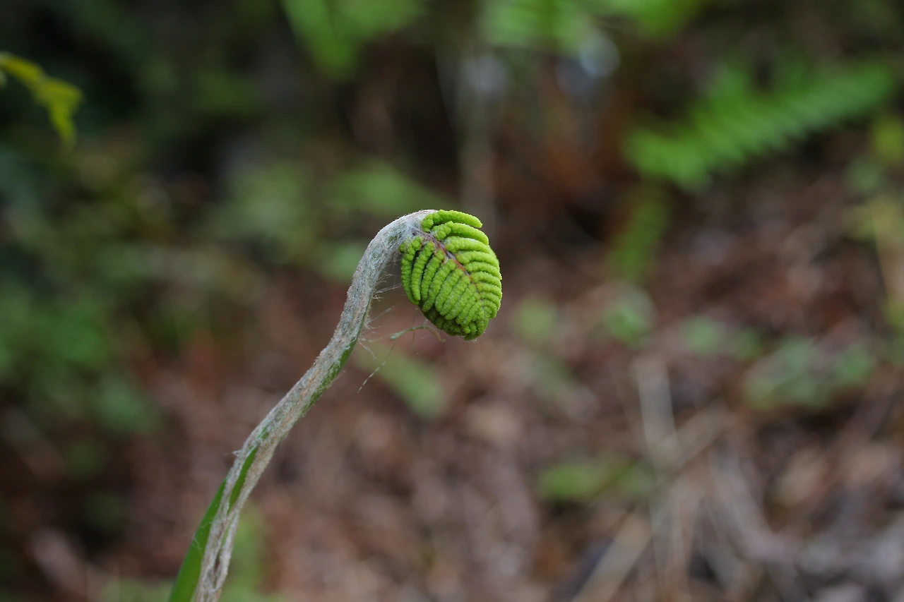 img.jpg?credential=yqXZFxpELC7KVnFOS48ylbz2pIh7yKj8&expires=1753973999&allow_ip=&allow_referer=&signature=0OHvALdlVXaHybjPpuJ6iDzDUD4%3D