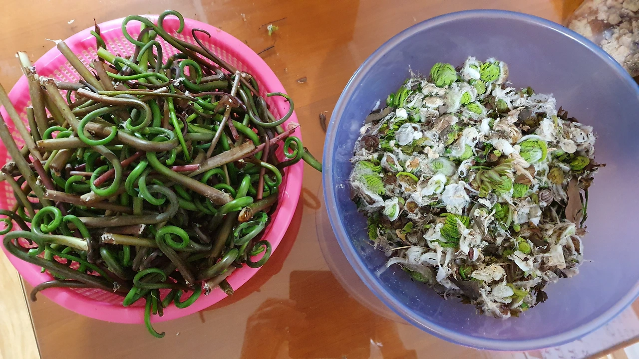 img.jpg?credential=yqXZFxpELC7KVnFOS48ylbz2pIh7yKj8&expires=1753973999&allow_ip=&allow_referer=&signature=5S%2BoNywUoQcJgbnn6KokYVY5qvY%3D