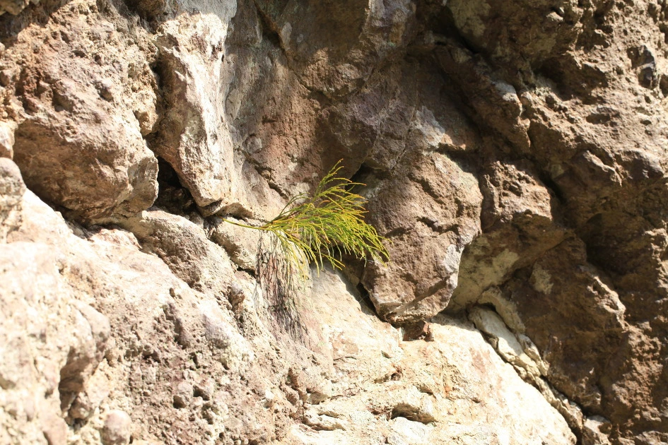 img.jpg?credential=yqXZFxpELC7KVnFOS48ylbz2pIh7yKj8&expires=1753973999&allow_ip=&allow_referer=&signature=BVNg3BVkAQ2Neh4GbkPpNsgxXb8%3D