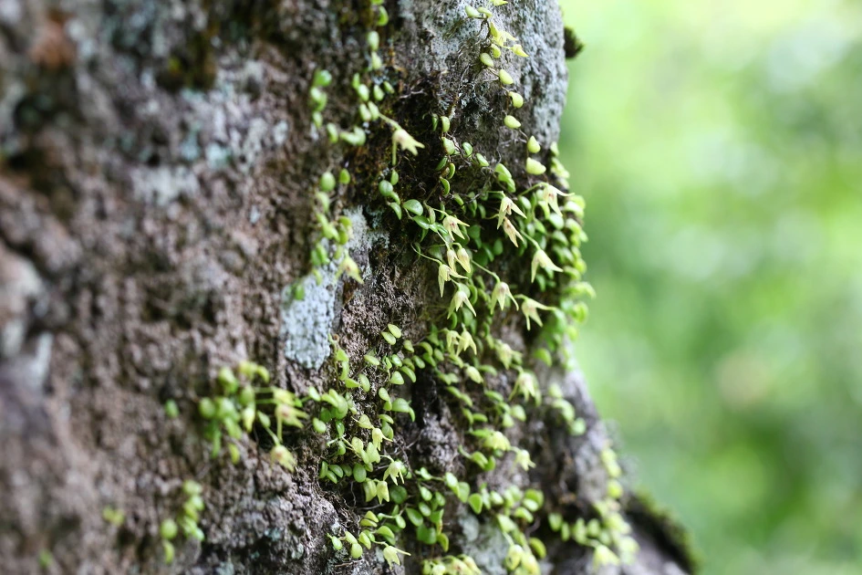 img.jpg?credential=yqXZFxpELC7KVnFOS48ylbz2pIh7yKj8&expires=1759244399&allow_ip=&allow_referer=&signature=XSeOamk57M1QvLUbiQvlCxFt5F0%3D