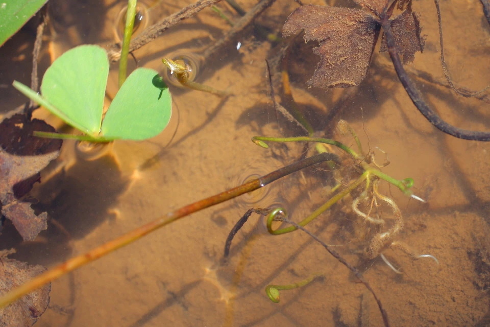 img.jpg?credential=yqXZFxpELC7KVnFOS48ylbz2pIh7yKj8&expires=1750737599&allow_ip=&allow_referer=&signature=D2QxWpfYhBI%2BN5TU2rVORiCgQyI%3D