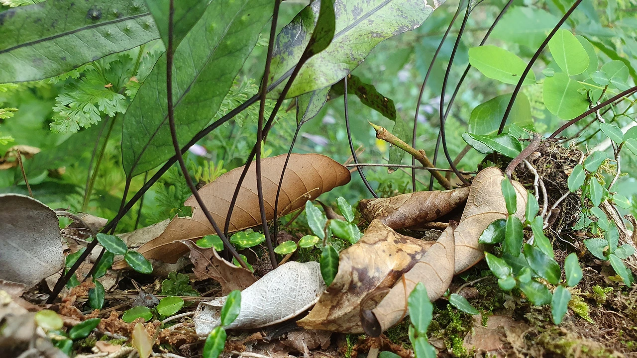 img.jpg?credential=yqXZFxpELC7KVnFOS48ylbz2pIh7yKj8&expires=1767193199&allow_ip=&allow_referer=&signature=XZkifF3x%2BBy0XObmI8VAdIfMkBQ%3D