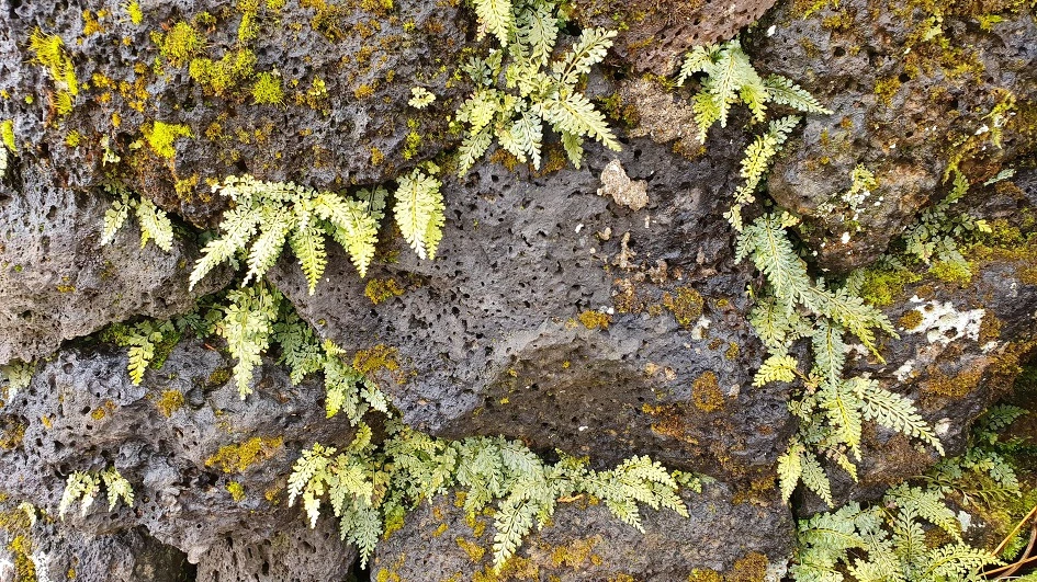 img.jpg?credential=yqXZFxpELC7KVnFOS48ylbz2pIh7yKj8&expires=1769871599&allow_ip=&allow_referer=&signature=n1M3EPlfHCBUrn1idYp1XV3YBJc%3D