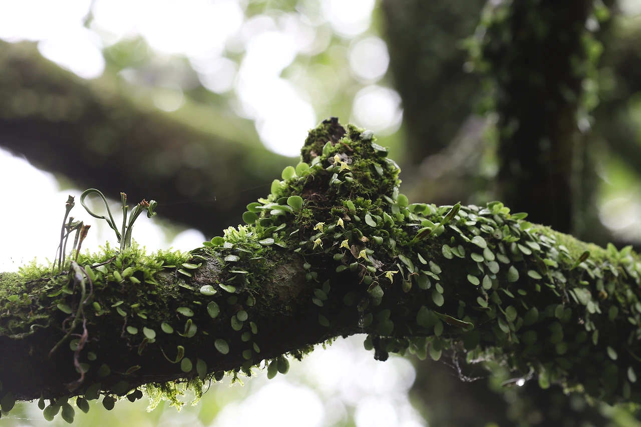 img.jpg?credential=yqXZFxpELC7KVnFOS48ylbz2pIh7yKj8&expires=1759244399&allow_ip=&allow_referer=&signature=MHv%2BgSRfVjO777b2HikNmE%2BiGDE%3D