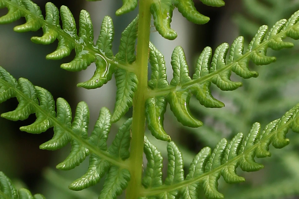 img.jpg?credential=yqXZFxpELC7KVnFOS48ylbz2pIh7yKj8&expires=1764514799&allow_ip=&allow_referer=&signature=vtP5tmV021YLgGGWIni7TUssl2k%3D