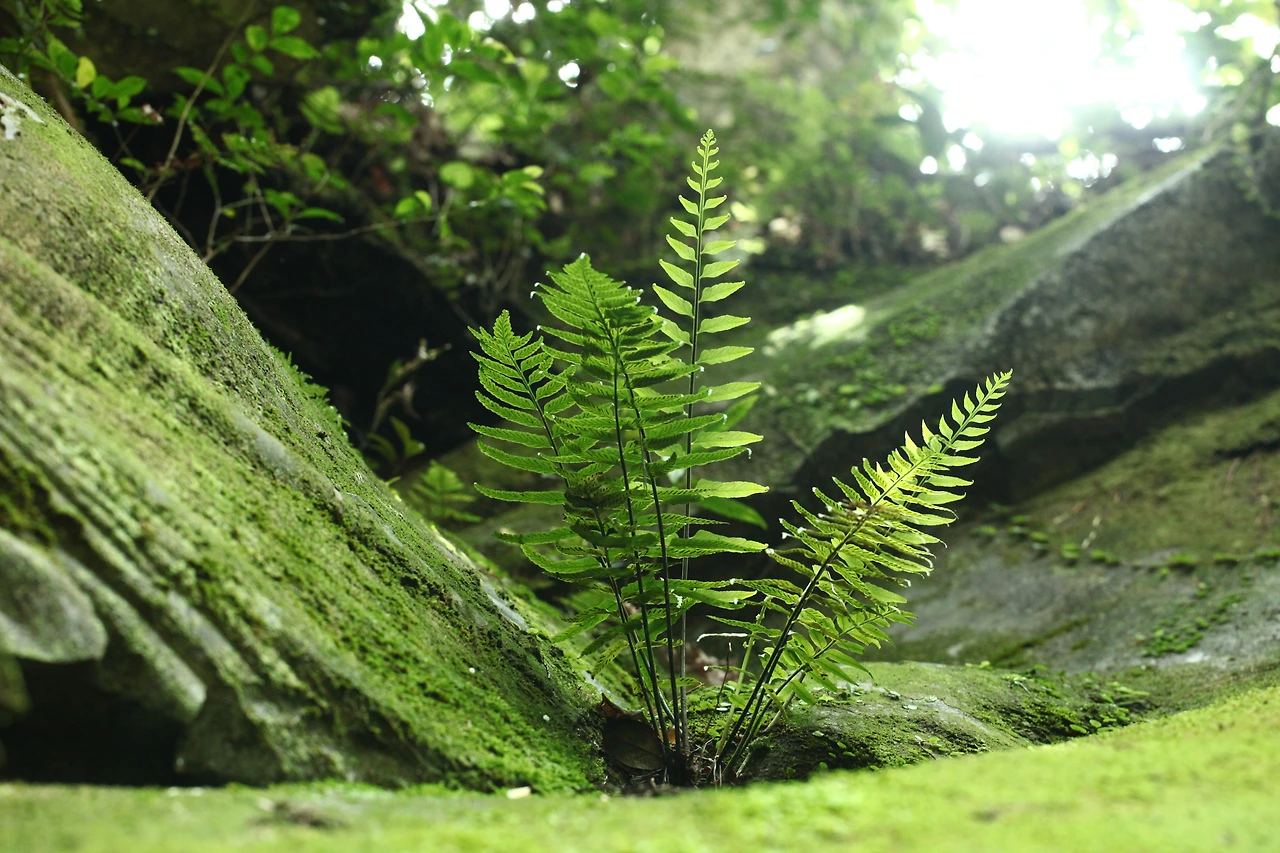 img.jpg?credential=yqXZFxpELC7KVnFOS48ylbz2pIh7yKj8&expires=1756652399&allow_ip=&allow_referer=&signature=m92Uyeg1BquEEVOa8ngRj55QXik%3D