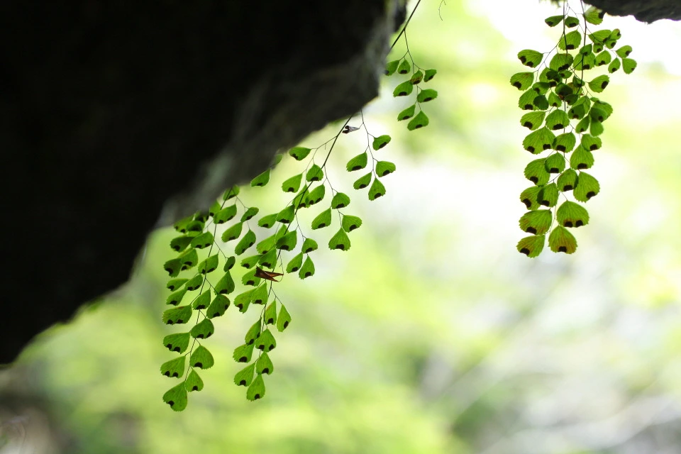 img.jpg?credential=yqXZFxpELC7KVnFOS48ylbz2pIh7yKj8&expires=1767193199&allow_ip=&allow_referer=&signature=4aQRIeXILMjW6cxx3OoSdQTL%2Fr8%3D