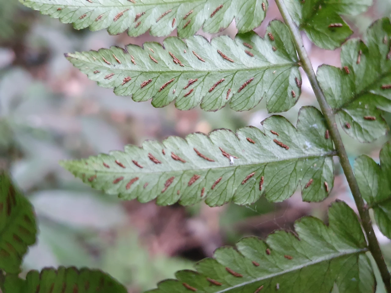 img.jpg?credential=yqXZFxpELC7KVnFOS48ylbz2pIh7yKj8&expires=1767193199&allow_ip=&allow_referer=&signature=d4btQBHOUUj54uNIF5NoA3Oz4%2FY%3D